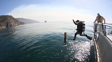 iimage of divers going into ocean